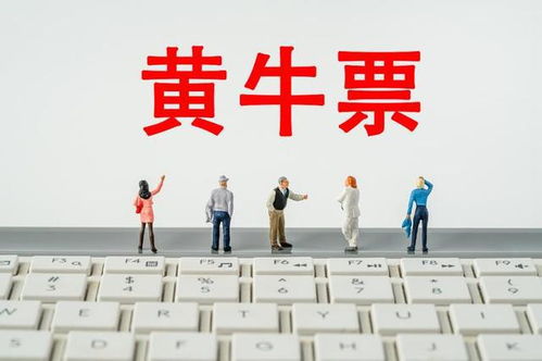 演唱會(huì)門(mén)票找“代搶”風(fēng)險(xiǎn)大，票務(wù)代理服務(wù)暗藏哪些貓膩